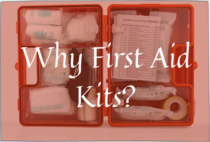 Aid Risk Assessment Guidelines